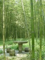 Ұ�������ַ羰
