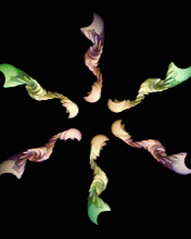�������̬ͼƬ