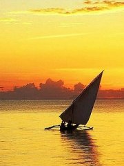 ��ɫ��ϼ240X320