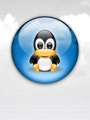 Ȥζ���240X320