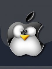 ��Լ���ص�Ư��240X320