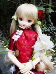 240 320�ɰ�����