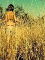 240X320ԭҰ������