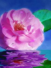 240X320ˮ�д�Ź��