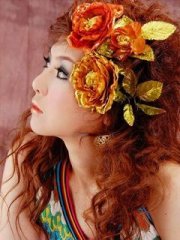 240X320Ư������