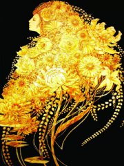 240X320������