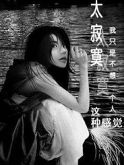 240X320̫��į