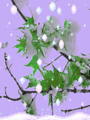 240X320冬季雪花