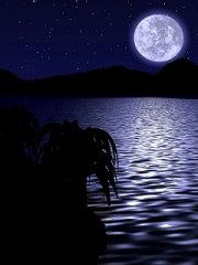 240X320�ľ����Ϸ羰