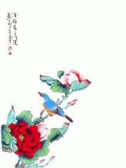 240X320小鸟报春