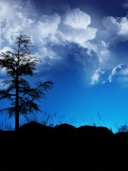 240X320һ��һ����