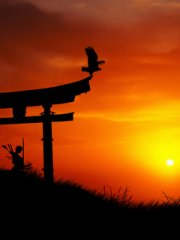 240X320�羰�������