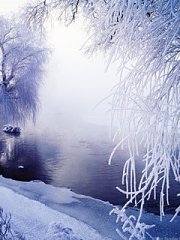 240X320��ɽ�羰�ֻ�ͼƬ