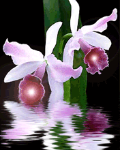 ˮ�л��е����