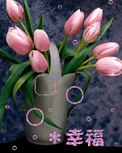�Ҹ�176X220