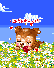 176X220请嫁给我主人吧