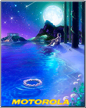 176X220浪漫流星雨
